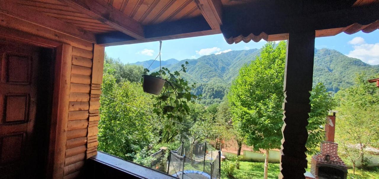 Casa Colt De Rai Villa Brezoi Buitenkant foto