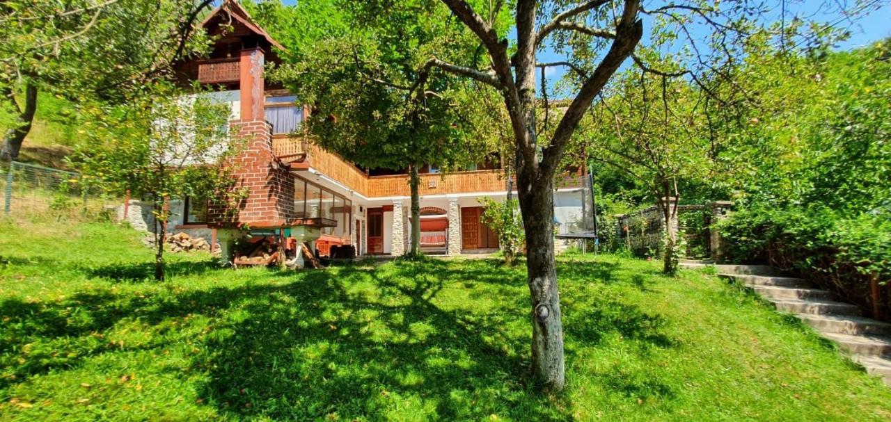 Casa Colt De Rai Villa Brezoi Buitenkant foto