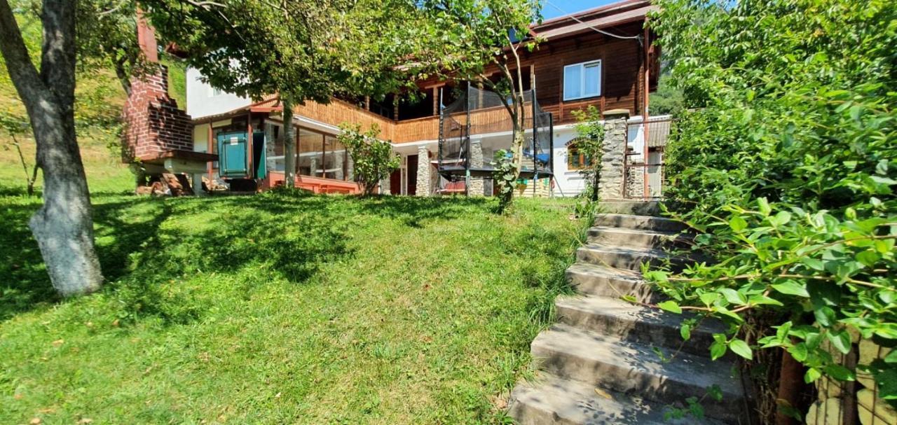 Casa Colt De Rai Villa Brezoi Buitenkant foto