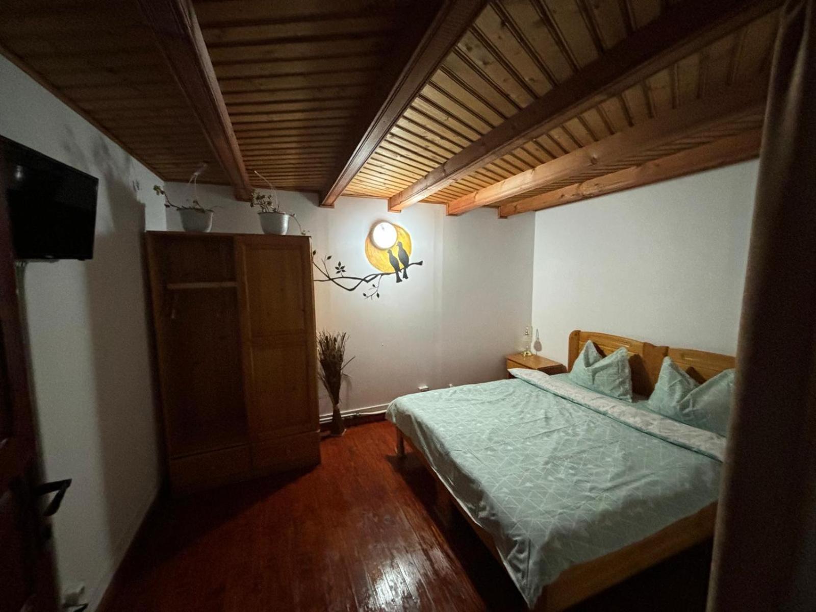 Casa Colt De Rai Villa Brezoi Buitenkant foto
