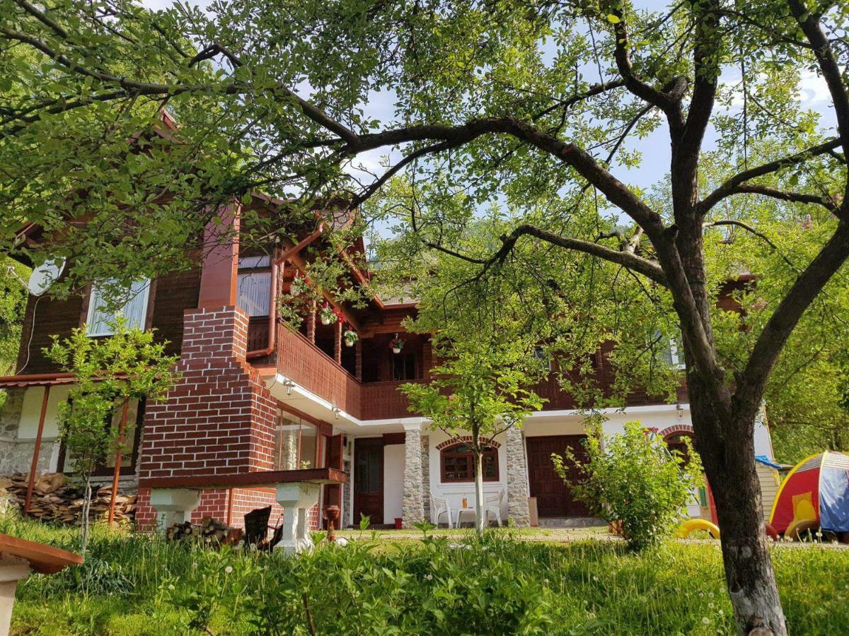 Casa Colt De Rai Villa Brezoi Buitenkant foto