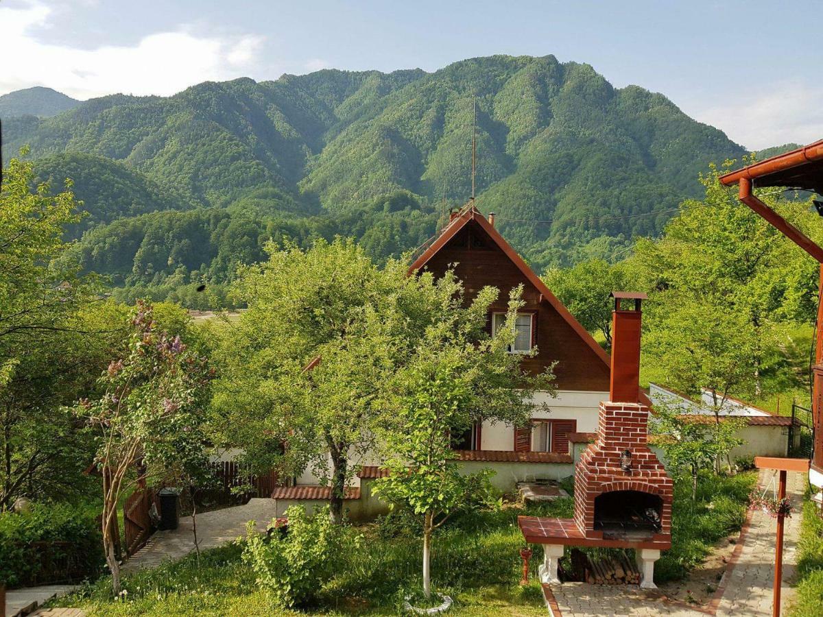 Casa Colt De Rai Villa Brezoi Buitenkant foto